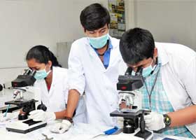 School of Life sciences